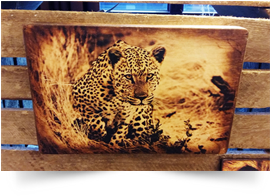 Jagender Leopard